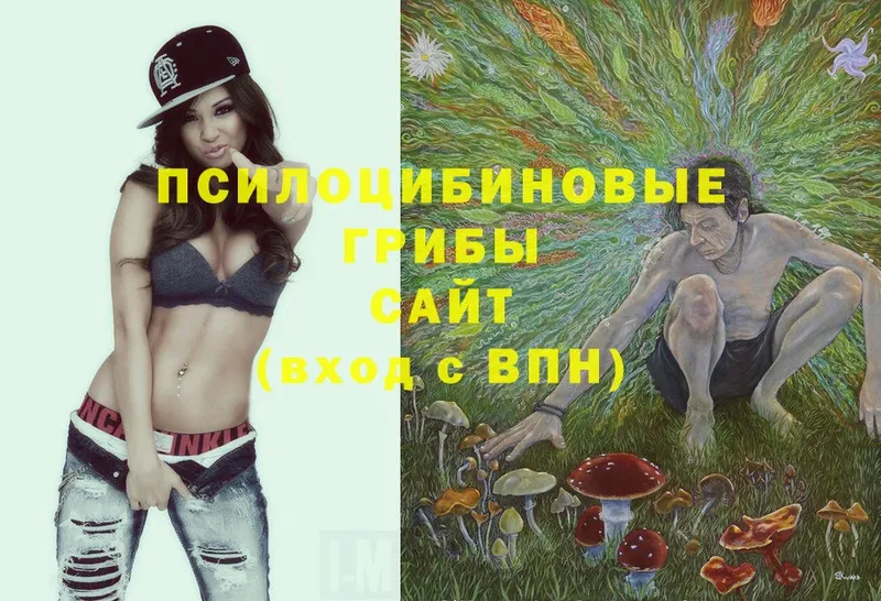 Галлюциногенные грибы MAGIC MUSHROOMS  где найти наркотики  гидра ССЫЛКА  Грязи 